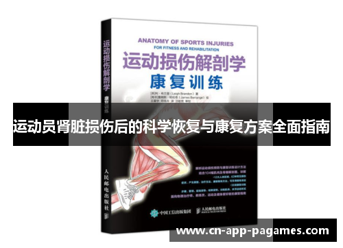 运动员肾脏损伤后的科学恢复与康复方案全面指南