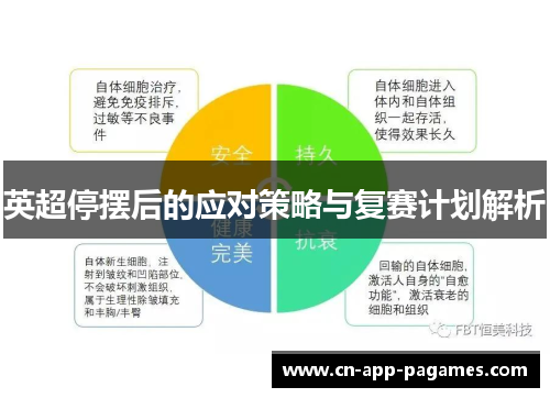 英超停摆后的应对策略与复赛计划解析